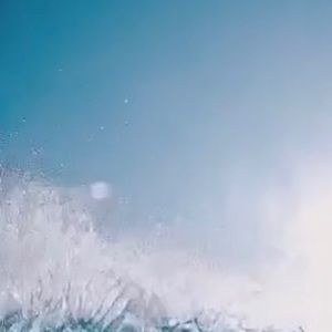 Meet your Posher, Maddy